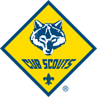 Cub Scout Pack 100